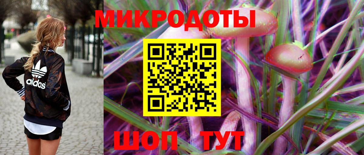 Галлюциногенные грибы мицелий  Вход с VPN  Ейск  где купить   Галлюциногенные грибы прущие грибы 